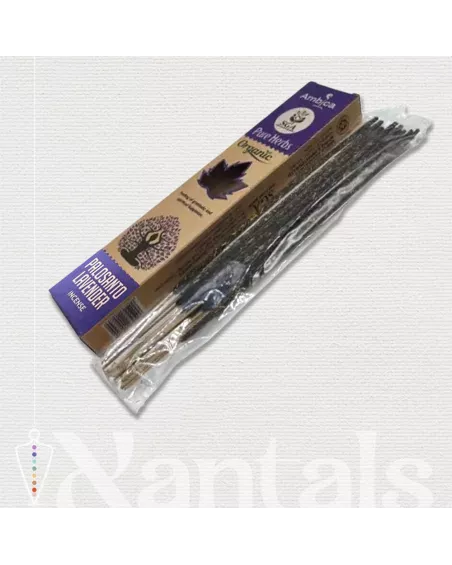 Inciensos de Palo Santo y Lavanda: Beneficios y Usos para tu Bienestar