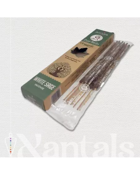 Inciensos de Salvia Blanca Ambica SGA: Beneficios y Usos Espirituales