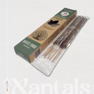 Inciensos de Salvia Blanca Ambica SGA: Beneficios y Usos Espirituales