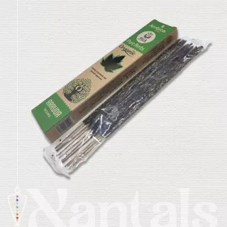 Inciensos de Ruda Orgánica Ambica SGA: Propiedades, Beneficios y Usos