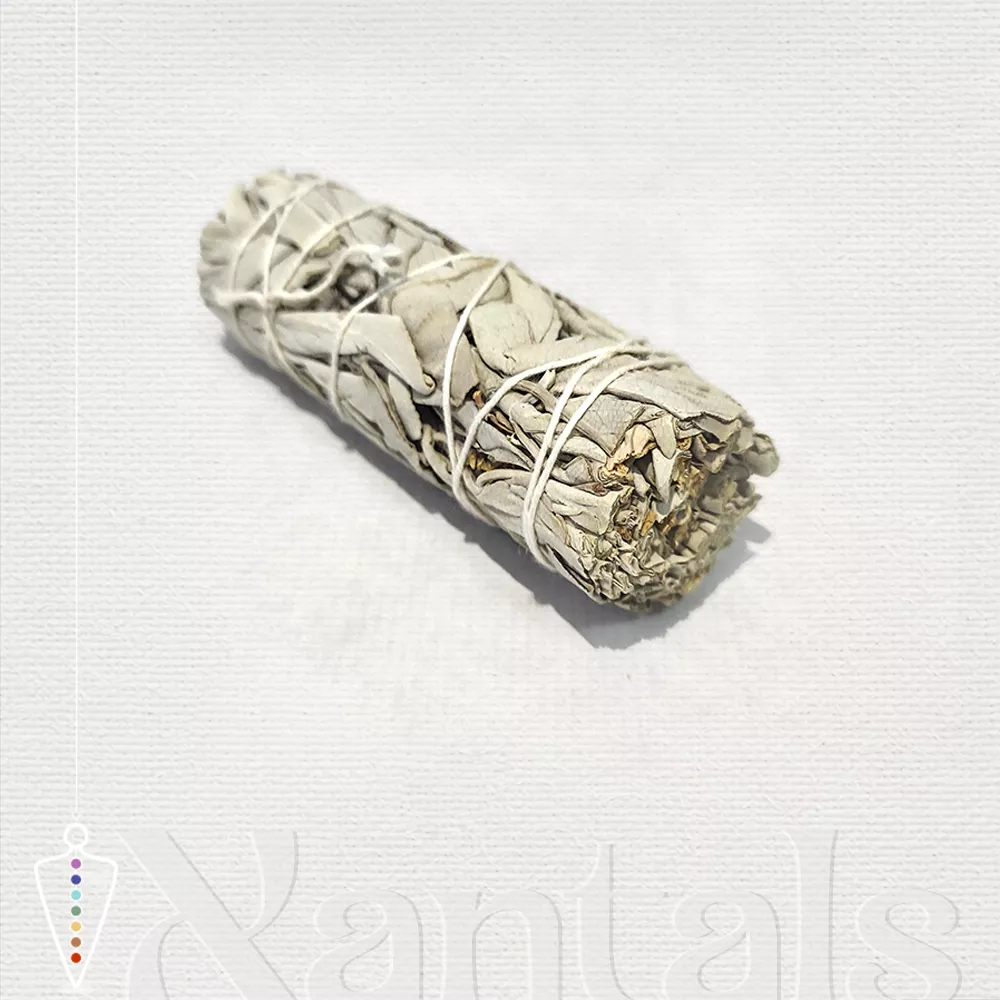 Ataditos de Salvia Blanca: Usos, Beneficios y Cómo Encenderlos Paso a Paso