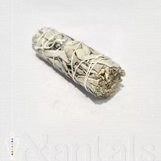 Ataditos de Salvia Blanca: Usos, Beneficios y Cómo Encenderlos Paso a Paso