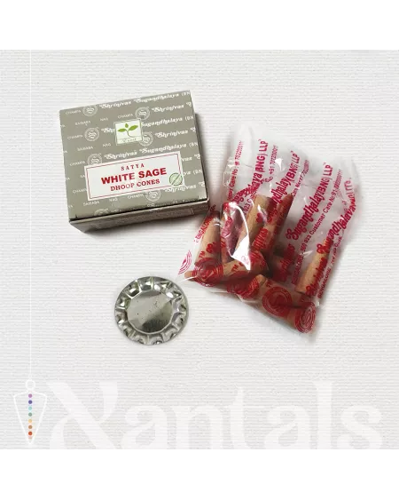 Conos de Incienso Satya y Salvia Blanca: Usos, Rituales y Consejos Prácticos
